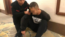 网红张某某,网红界的璀璨新星，揭秘其爆红背后的故事