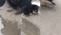 小姐姐在屋内唱歌图片,小姐姐的温馨音乐时光