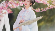 樱花 汉服小姐姐,汉服小姐姐的美丽邂逅