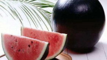 mnvvpm黑料吃瓜,吃瓜群众如何解读娱乐圈风云